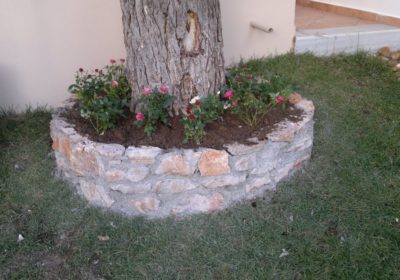 IRINAKIS-FLOWERS-ERGA20