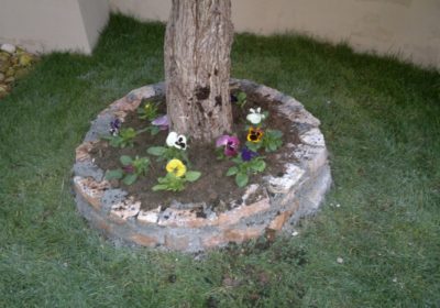 IRINAKIS-FLOWERS-ERGA21