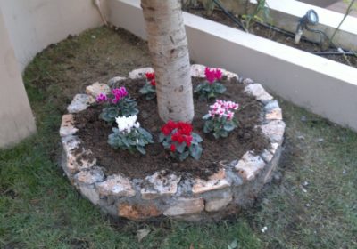 IRINAKIS-FLOWERS-ERGA22