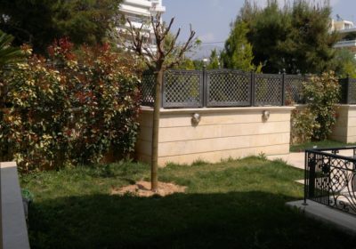 IRINAKIS-FLOWERS-ERGA9